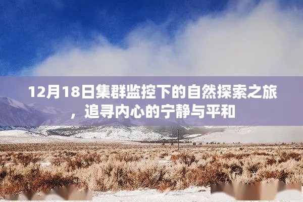 12月18日集群监控下的自然探索之旅，追寻心灵宁静与平和的旅程