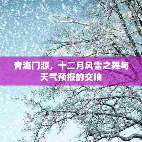 青海门源，十二月风雪与天气预报的交响舞会