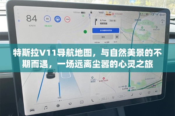 特斯拉V11导航地图引领的心灵之旅,与自然美景的不期而遇