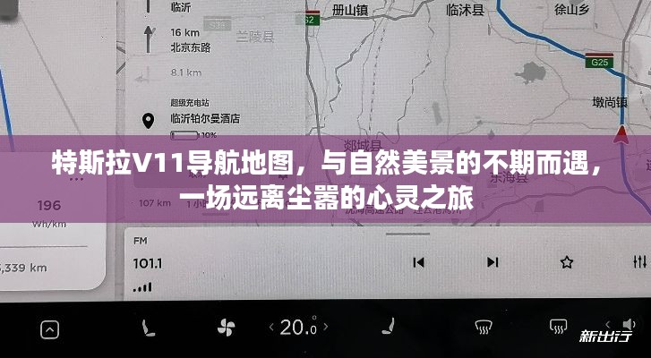 特斯拉V11导航地图引领的心灵之旅,与自然美景的不期而遇