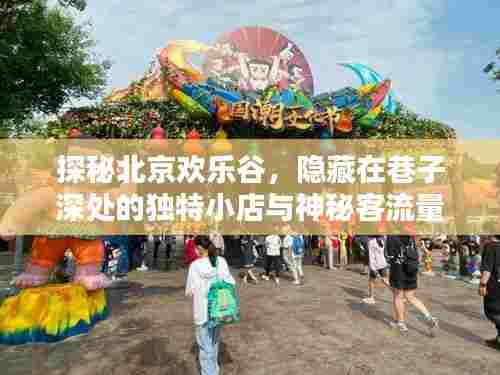 探秘北京欢乐谷,巷子深处的独特小店与神秘客流的奥秘之旅
