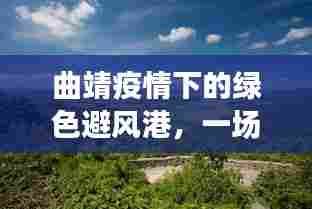 曲靖疫情下的绿色避风港,自然美景探索之旅