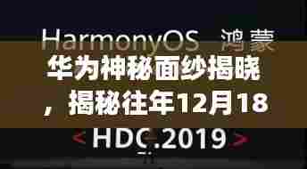 华为神秘面纱背后的故事,探寻实时字幕起源与小巷特色小店之旅