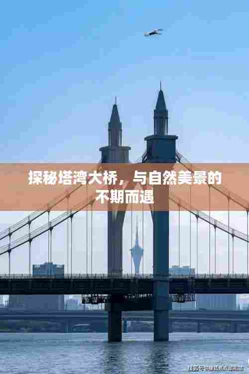 探秘塔湾大桥,与自然美景的邂逅