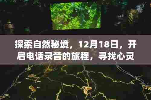 探索自然秘境，开启电话录音之旅，寻找心灵的宁静之声（12月18日）