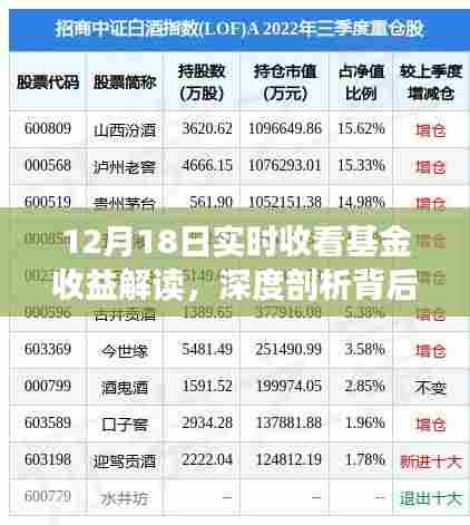 12月18日基金收益解读，深度剖析背后的收益与风险实况