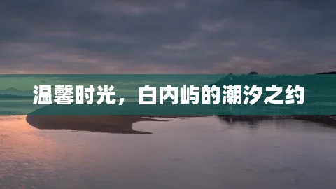 白内屿潮汐之约,温馨时光的美好邂逅