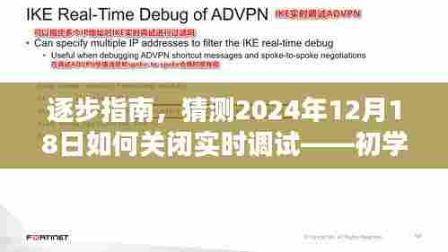 实用教程,从初学者到进阶用户,逐步学会如何关闭实时调试——针对2024年12月18日的指南