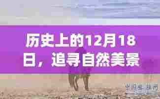 12月18日探寻自然美景之旅，心灵宁静驱散疫情阴霾的历程