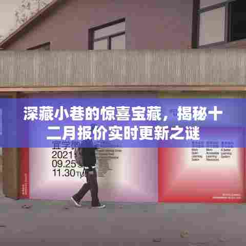 深藏小巷的惊喜宝藏，实时更新十二月报价之谜揭秘