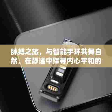 智能手环引领脉搏之旅，探寻静谧中的内心平和魔法