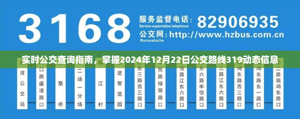 实时公交查询指南,掌握公交路线319动态信息(XXXX年XX月XX日更新)