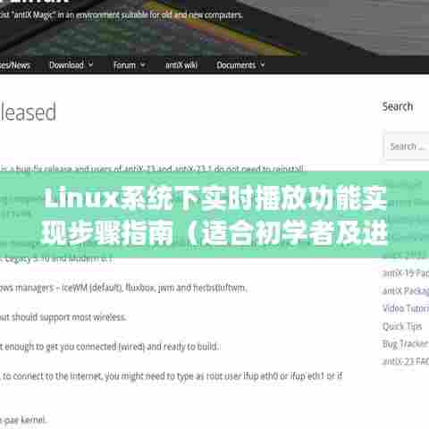 Linux系统实时播放功能实现步骤详解(初学者与进阶用户适用)——最新指南(2024年12月版)