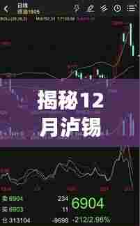 揭秘,泸锡价格实时行情走势分析与预测(12月版)