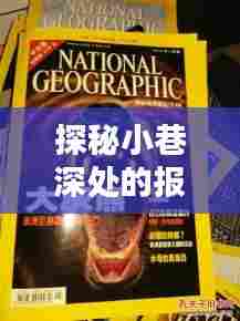 小巷深处的宝藏与12月实时资讯盛宴,不容错过的资讯盛宴探秘