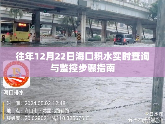 海口积水实时查询与监控步骤指南(往年12月22日版)