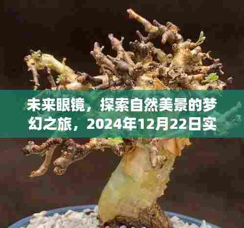 未来眼镜,心灵之旅启程,探索自然美景的梦幻发译眼镜(2024年12月22日实时更新)