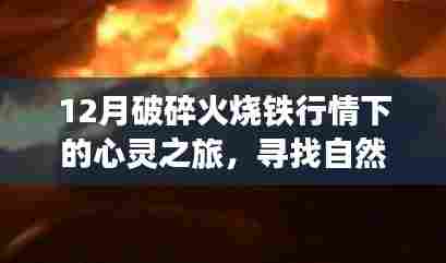 12月铁行情下的心灵之旅，探寻自然宝藏与内心宁静的旅程