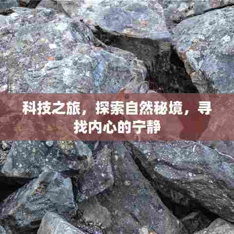科技与自然,探索秘境之旅,寻找内心宁静的旅程