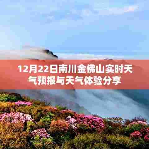 南川金佛山天气预报及天气体验分享（实时更新）