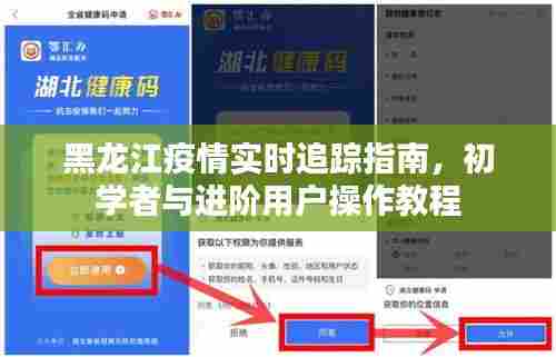 黑龙江疫情实时追踪指南,初学者与进阶用户操作手册