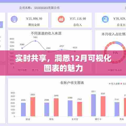 实时洞悉，探索十二月可视化图表的魅力与共享价值