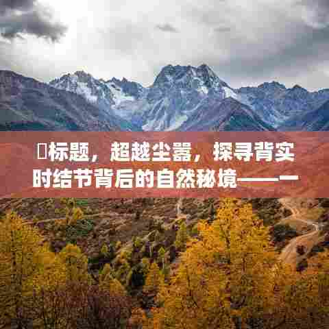 超越尘嚣,自然秘境探寻之旅——背实时结节的心灵之旅