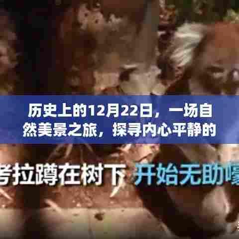 探寻内心平静的魔法时刻,历史上的自然美景之旅在12月22日启程