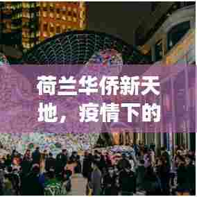 荷兰华侨新天地,疫情下的励志故事与变革之力