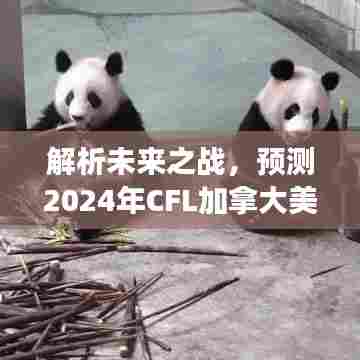 解析未来之战,我的预测——2024年CFL加拿大美式足球实时比分展望