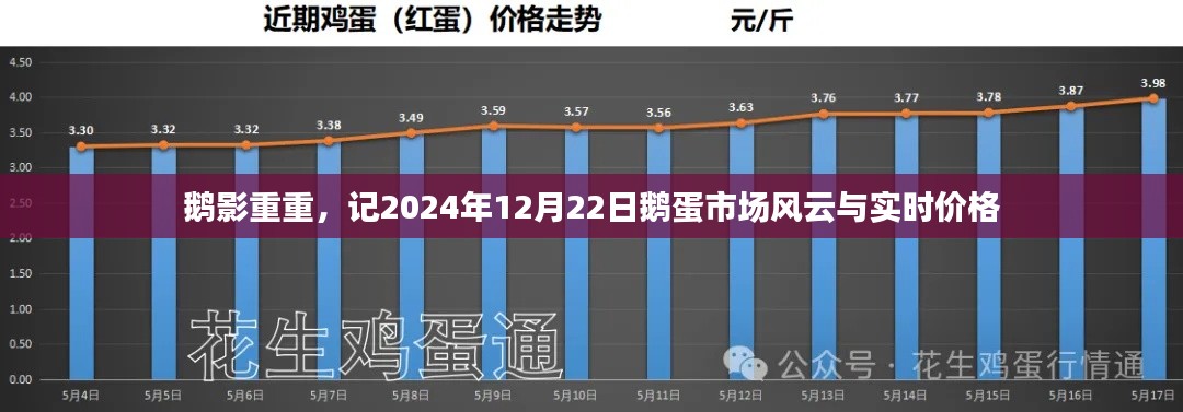 鹅蛋风云,市场实时价格揭秘,鹅影重重下的市场波动