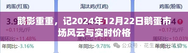 鹅蛋风云,市场实时价格揭秘,鹅影重重下的市场波动