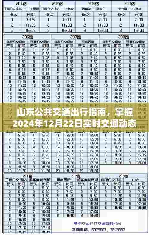 山东公共交通出行指南,实时掌握最新交通动态(2024年12月22日版)