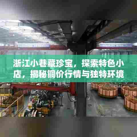 浙江小巷特色小店探秘,铜价行情与独特环境魅力揭秘