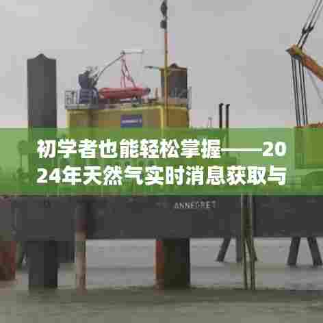 初学者进阶手册，2024年天然气实时消息获取与解读步骤指南