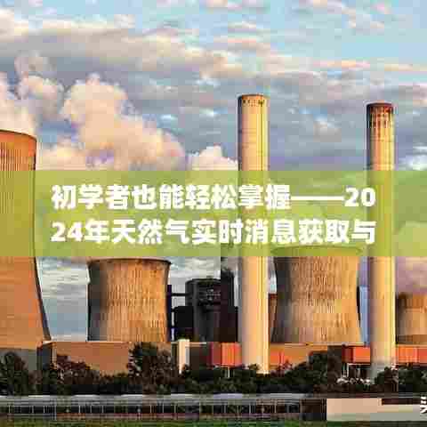 初学者进阶手册,2024年天然气实时消息获取与解读步骤指南