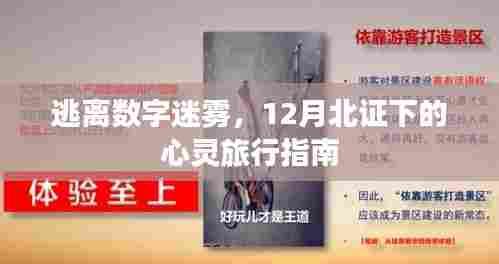 北证下的心灵之旅，逃离数字迷雾的指南