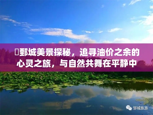 鄄城美景探秘,心灵之旅与自然共舞,油价之余的宁静追寻