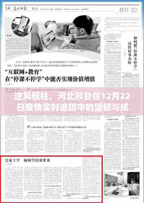 河北邢台疫情实时追踪,逆风砥柱的坚韧与成长之路