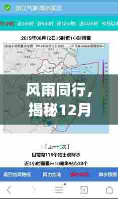 风雨同行,揭秘台风实时路径图App的魅力与影响力