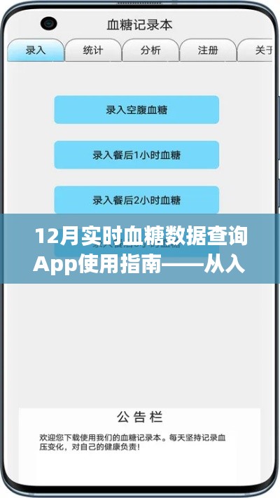 12月实时血糖监控App使用详解,从新手入门到精通指南