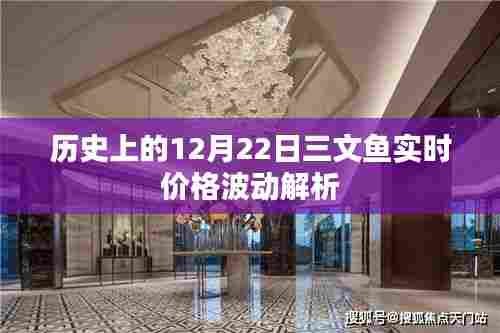 12月22日三文鱼实时价格波动深度解析