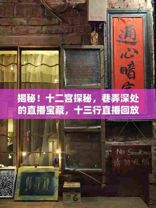 揭秘十二宫直播宝藏,巷弄深处的独特风情,十三行直播回放全解析