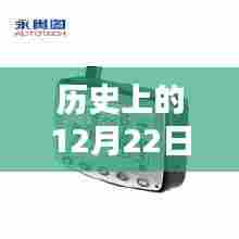 鸟哭猿啼 第3页