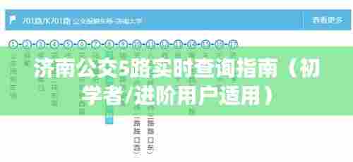 济南公交5路实时查询指南,适合初学者与进阶用户参考