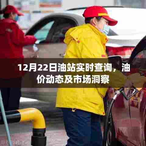 油站实时查询,油价动态与市场洞察(12月22日)