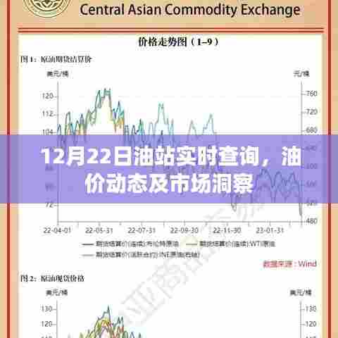 油站实时查询,油价动态与市场洞察(12月22日)