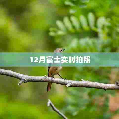 富士冬季实拍美景