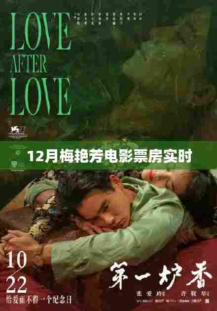 梅艳芳电影票房实时数据(12月)