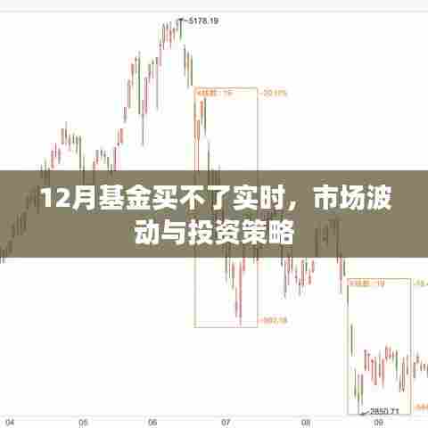 市场波动下的12月基金投资，实时购买策略与应对策略